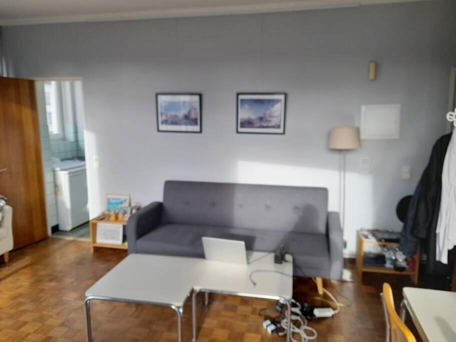 Apartmán Sunny Antverpy Exteriér fotografie